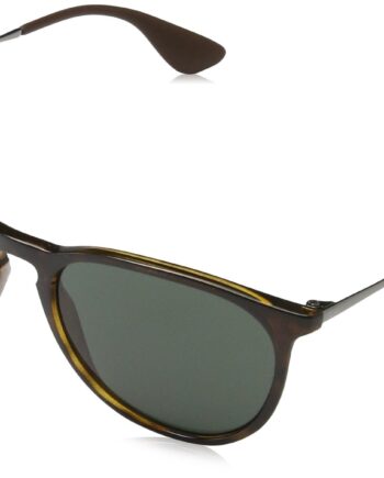 RAYBAN Unisex Sonnenbrille Rb4171, Braun (Gestell: Havana/Gunmetal, Gläserfarbe: grün klassisch 710/71), Medium (Herstellergröße: 54)