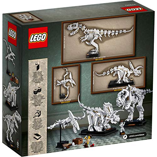 LEGO Ideas Dinosaurier-Fossilien Konstruktionsspielzeug - obrazek 13