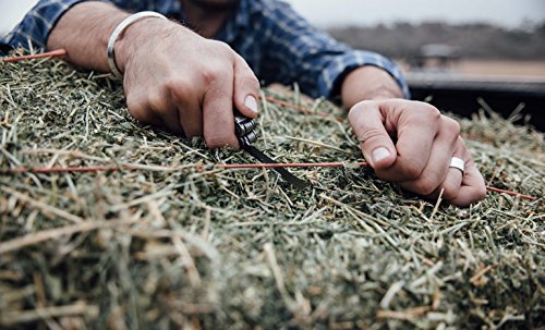 Leatherman LTG831560 Rebar Multifunktionswerkzeug inklusiv Lederholster Box, Edelstahl - obrazek 5