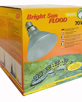 Lucky Reptile Bright Sun Flood Desert - Metalowa lampa parowa 70W do o