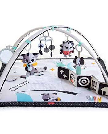 Tiny Love Czarno-Biała Mata Gymini, Muzyczna Mata Edukacyjna 2 w 1, Od