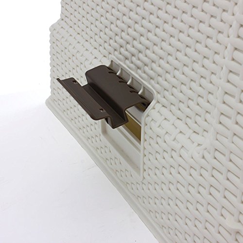 Curver Kuweta, Kość Słoniowa, 51,5 x 38,5 x 40 cm - obrazek 8