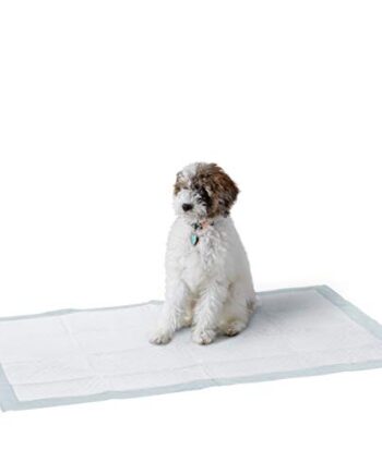 Amazon Basics Szczelne podkładki dla psów lub szczeniąt do nauki sikan