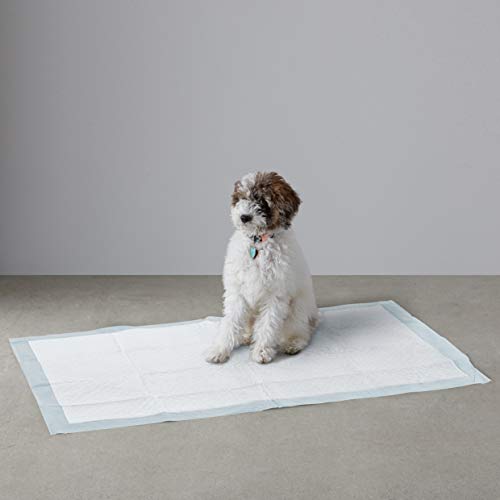 Amazon Basics Szczelne podkładki dla psów lub szczeniąt do nauki sikan - obrazek 2