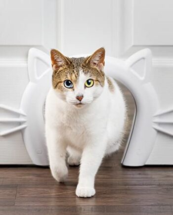 PetSafe Cat Corridor Katzenschlupf für Zimmertüren, Katzentunnel für Zimmertüren, Für Katzen bis zu 9 kg, Weiß bemalbar, 19.1x19.6 cm (1er Pack)