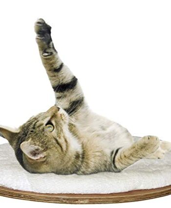 Kerbl 81503 Wandliegebrett oval Dolomit 50 x 35 x 1.5 cm