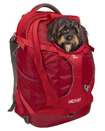 Kurgo G-Train Rucksack, Mit integriertem Hundefach, Wasserfester Boden, Mit Flaschenhaltern, Für Haustiere bis 11 kg, Rot, 33 x 53 x 25 cm