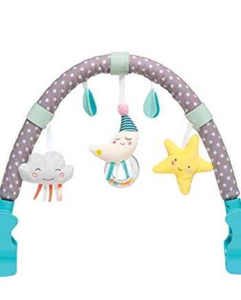 Taf Toys Spielbogen für Babys ab der Geburt