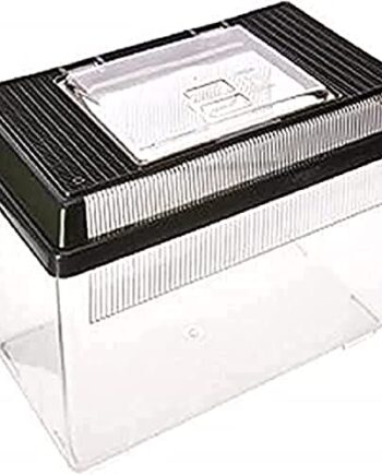 Exo Terra Faunarium, Allzweckbehälter für Reptilien, Amphibien, Mäuse und Insekten, mittel flach, 36 x 22 x 16,5cm