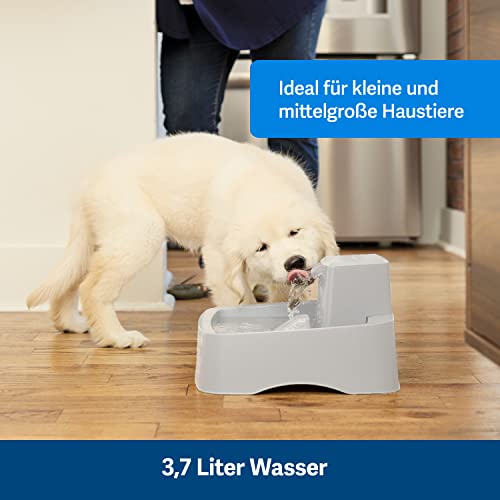PetSafe 3,7 Liter Trinkbrunnen Drinkwell für Hunde und Katzen, Duales Filtersystem, aus BPA-freiem Kunststoff, Grau - obrazek 7