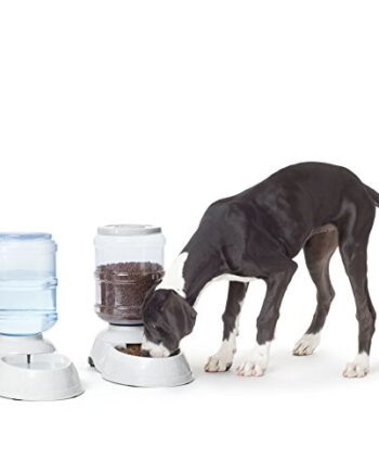 Amazon Basics Dozownik karmy i wody dla zwierząt domowych, podajnik, d