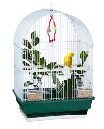 Relaxdays Vogelkäfig, klein, Wellensittich, Kanarienvögel, Sitzstange, Futternapf, HxBxT 49,5 x 34,5 x 28 cm, weiß/grün