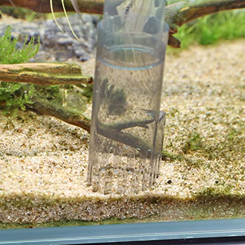 Jbl Proclean Aqua In-Out Pompa do Wymiany Wody, Przezroczysty/Szary, 3 - obrazek 14