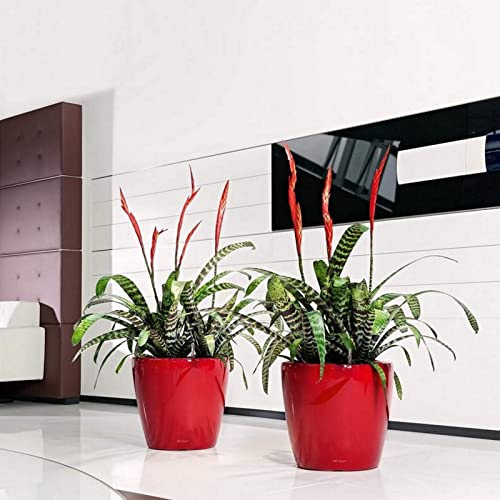 Lechuza Classico Premium Sadzarka, Biały, 43x43x40 cm - obrazek 5