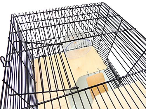 Little Friends Savoy Gerbilarium-Käfig, mit Zubehör, 58,5 x 38 x 47,5 cm - obrazek 3