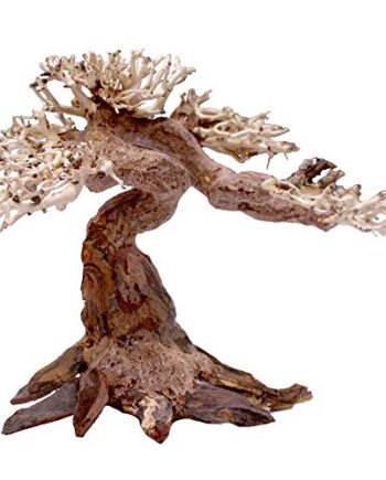 Amtra - Oriental Wind 5 drewno, ręcznie robione, do akwarium, 30 x 10