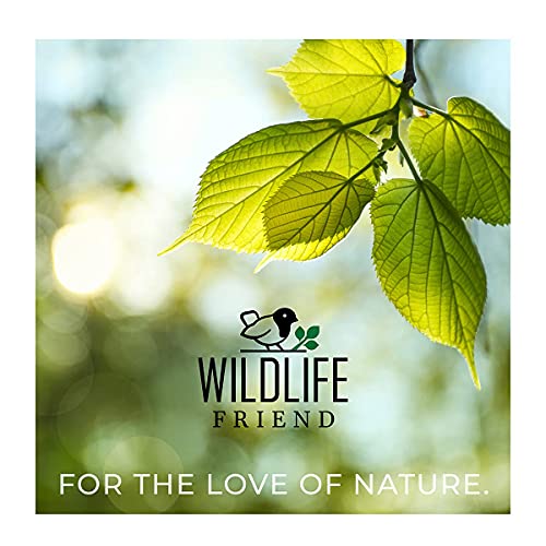 WILDLIFE FRIEND I Vogelfutterspender zum Aufhängen - Schwarz, Vogelfutterstation für Wildvögel I Vogel Futterstation, Futterspender Vögel, Vogelfutterhaus, Vogelfutter, Bird Feeder - obrazek 2