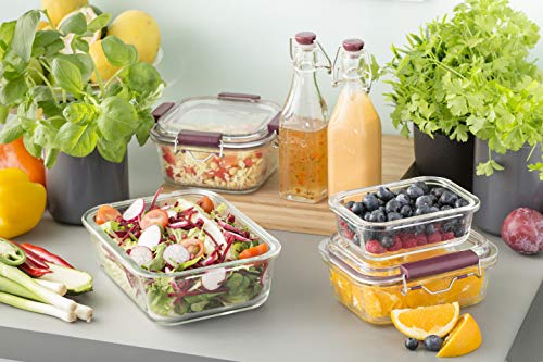 Frischhaltedose aus Borosilikatglas mit auslaufsicherem Clipverschluss-System, BPA-frei, backofen- und mikrowellenfest, 750 ml, Maße: 17,5 x 17,5 x 8,5 cm - obrazek 4