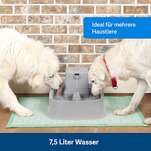 PetSafe 7,5 Liter Trinkbrunnen Drinkwell für Hunde und Katzen, Duales Filtersystem, aus BPA-freiem Kunststoff, Grau - obrazek 7