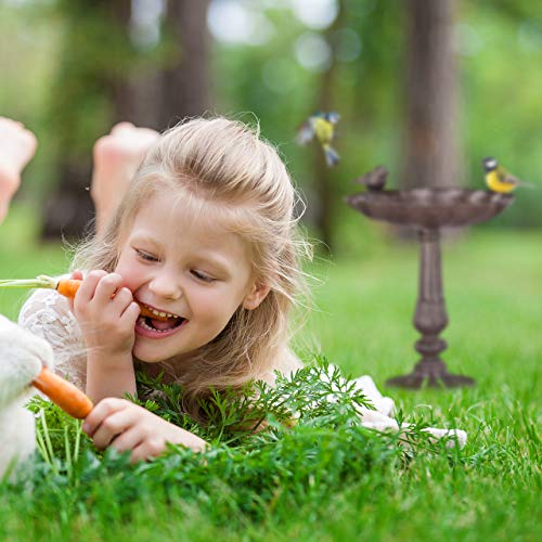 Relaxdays Vogeltränke Gusseisen, Gartendeko antikes Design, Vogelfutterstelle stehend, Wasserschale für Wildvögel, Braun/Bronze/Kupfer, 24.5 x 22 x 18 cm - obrazek 5