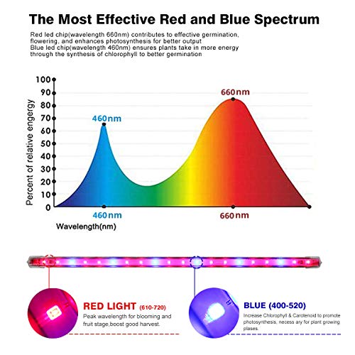 Roleadro LED Pflanzenlampe Pflanzenlicht 60w Pflanzenleuchte mit Timer 3H/6H/12H Heillgkeitsstufen Strip Wachsen licht Wachstumslampe IP65 Pflanzenlichter für Zimmerpflanzen Gartenarbeit Gewächshaus - obrazek 6