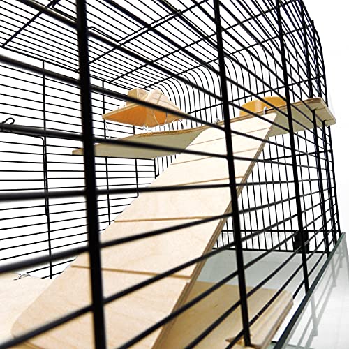 Little Friends Savoy Gerbilarium-Käfig, mit Zubehör, 58,5 x 38 x 47,5 cm - obrazek 2