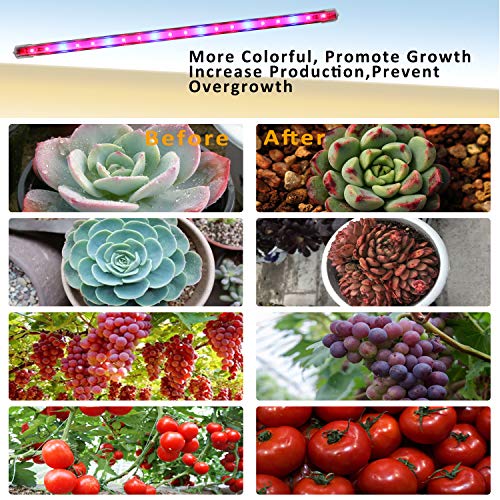 Roleadro LED Pflanzenlampe Pflanzenlicht 60w Pflanzenleuchte mit Timer 3H/6H/12H Heillgkeitsstufen Strip Wachsen licht Wachstumslampe IP65 Pflanzenlichter für Zimmerpflanzen Gartenarbeit Gewächshaus - obrazek 4