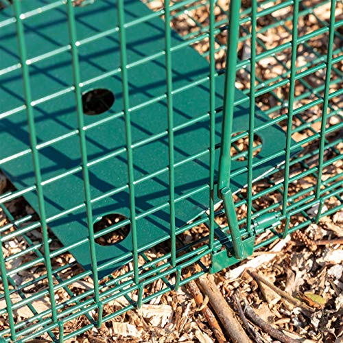 Maxx - Lebendfalle Rattenfalle - Maderfalle Falle Kastenfalle lebend Käfigfalle Tierfalle Mausefalle - für Maus, Ratte, Nagetiere - 75x25x30cm - obrazek 3