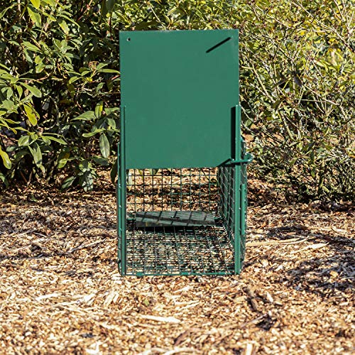 Maxx - Lebendfalle Rattenfalle - Maderfalle Falle Kastenfalle lebend Käfigfalle Tierfalle Mausefalle - für Maus, Ratte, Nagetiere - 75x25x30cm - obrazek 6