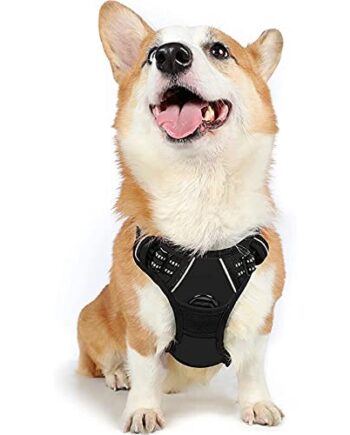 rabbitgoo No-Pull Hundegeschirr für mittelgroße Hunde Welpengeschirr Einstellbar Weich Geschirr Sicher Kontrolle Brustgeschirr Gepolstert Schwarz M