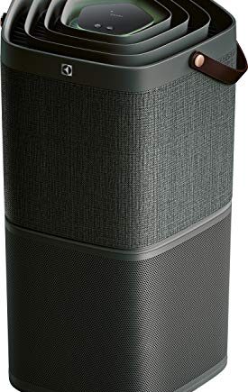 Electrolux PA91-404DG podłączony oczyszczacz powietrza z ochroną baterii i filtrem zapachowym do 92 m²  tworzywo sztuczne  szary (antracytowy)