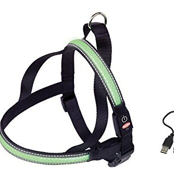 Nobby NORWEGER Geschirr "FLASH MESH" grün S: L: 50-65 cm + 48 cm; B: 25 mm