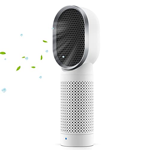 QUEENTY Oczyszczacz powietrza oczyszczacz powietrza z filtrem HEPA i filtrem z węglem aktywnym pulpit oczyszczający powietrze jonizator idealny dla alergików i zwierząt domowych palaczy astmy palaczy do pokoju palaczy mieszkania (biały)