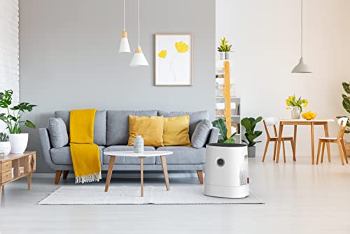 BONECO Oczyszczacz powietrza oczyszczacz powietrza W220 – 2 różne poziomy mocy – do pomieszczeń o powierzchni do 50 m² biały - obrazek 2