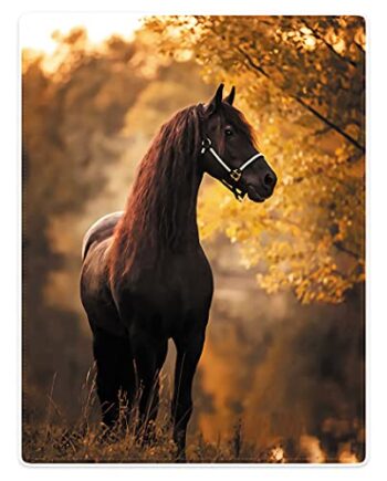 Violetpos Koc 150 x 200 cm flanelowy miękki koc polarowy przytulny narzuta na łóżko, zachód słońca koń