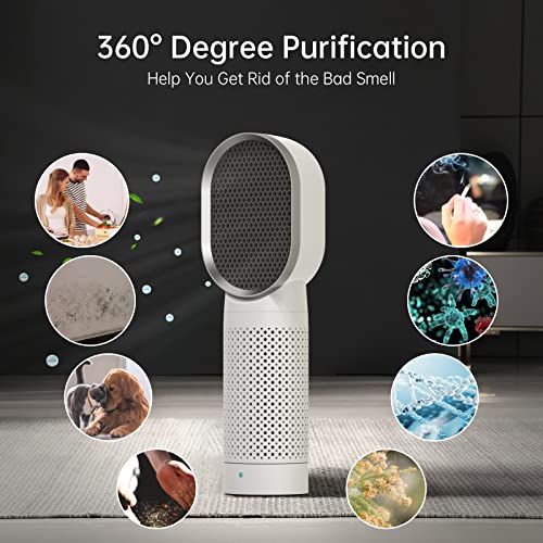 QUEENTY Oczyszczacz powietrza oczyszczacz powietrza z filtrem HEPA i filtrem z węglem aktywnym pulpit oczyszczający powietrze jonizator idealny dla alergików i zwierząt domowych palaczy astmy palaczy do pokoju palaczy mieszkania (biały) - obrazek 5