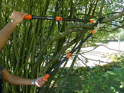 Primus 1100 Anvil Ratchet Lopper Shears – Strongest Pruning Shears The We Rectangular Shaped Telescopic Arm, Black - obrazek 6