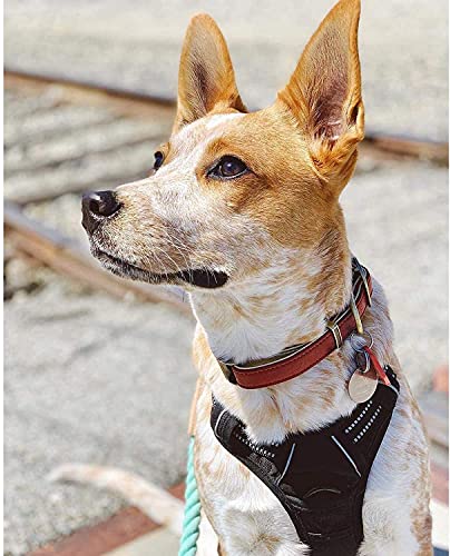 rabbitgoo No-Pull Hundegeschirr für mittelgroße Hunde Welpengeschirr Einstellbar Weich Geschirr Sicher Kontrolle Brustgeschirr Gepolstert Schwarz M - obrazek 2