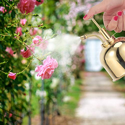 4YANG 300ml Retro Messing Gießkanne Vintage Kupfer Metall Gartenblumen Pflanzenbau Handwerk Gartentopf Werkzeug Sprühflasche Handbewässerungsausrüstung (Silber) (Gold) - obrazek 4