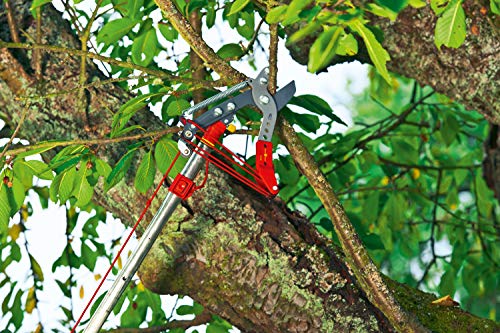 Wolf Garten Nożyce do Drewna, Czerwony, 37x23x7 cm - obrazek 6