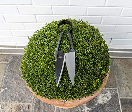 Berger Nożyce do drewna bukszpanowego 2711 z okrągłą sprężyną Nożyce z kutych ostrzy, długość ostrza: 14 cm - obrazek 2