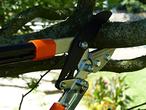 Primus 1100 Anvil Ratchet Lopper Shears – Strongest Pruning Shears The We Rectangular Shaped Telescopic Arm, Black - obrazek 4