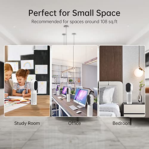 QUEENTY Oczyszczacz powietrza oczyszczacz powietrza z filtrem HEPA i filtrem z węglem aktywnym pulpit oczyszczający powietrze jonizator idealny dla alergików i zwierząt domowych palaczy astmy palaczy do pokoju palaczy mieszkania (biały) - obrazek 2