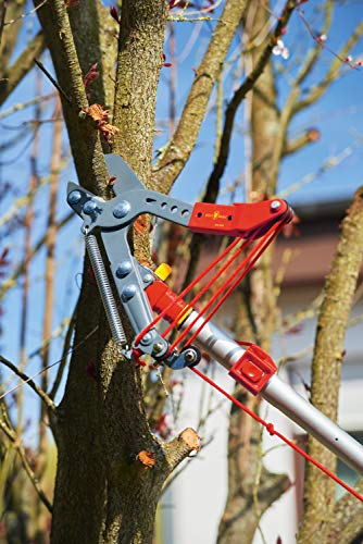 Wolf Garten Nożyce do Drewna, Czerwony, 37x23x7 cm - obrazek 8