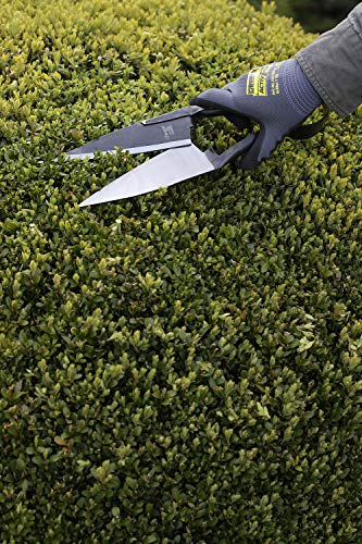 Berger Nożyce do drewna bukszpanowego 2711 z okrągłą sprężyną Nożyce z kutych ostrzy, długość ostrza: 14 cm - obrazek 3