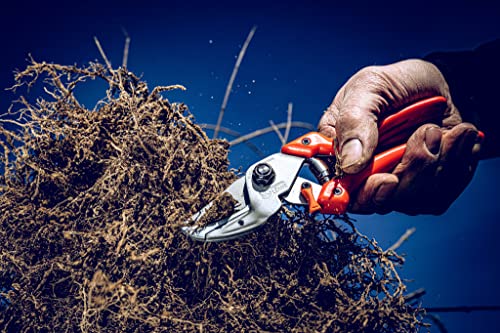 Original LÖWE 8 nożyc kowadełkowych 8.104 z geometrią obejścia - ostre - obrazek 2