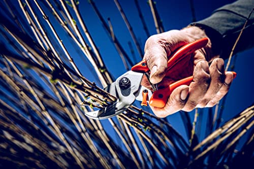 Original LÖWE 8 nożyc kowadełkowych 8.104 z geometrią obejścia - ostre - obrazek 3