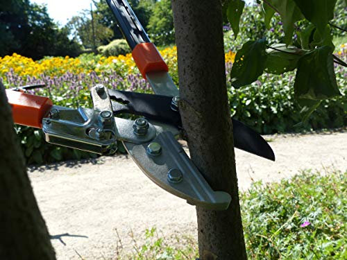 Primus 1100 Anvil Ratchet Lopper Shears – Strongest Pruning Shears The We Rectangular Shaped Telescopic Arm, Black - obrazek 3