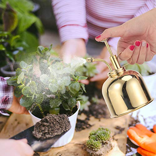 4YANG 300ml Retro Messing Gießkanne Vintage Kupfer Metall Gartenblumen Pflanzenbau Handwerk Gartentopf Werkzeug Sprühflasche Handbewässerungsausrüstung (Silber) (Gold) - obrazek 6