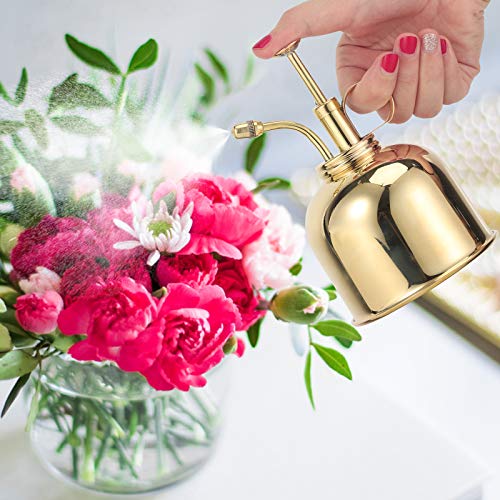 4YANG 300ml Retro Messing Gießkanne Vintage Kupfer Metall Gartenblumen Pflanzenbau Handwerk Gartentopf Werkzeug Sprühflasche Handbewässerungsausrüstung (Silber) (Gold) - obrazek 3